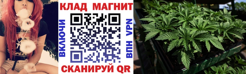 Где продают наркотики Мамоново Альфа ПВП Гашиш Марихуана