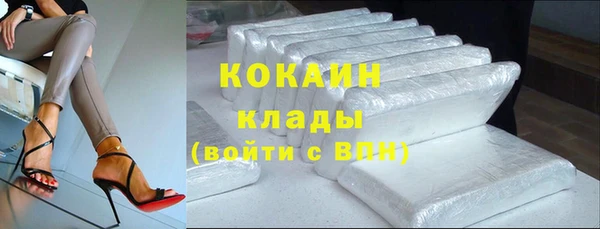 спиды Новозыбков