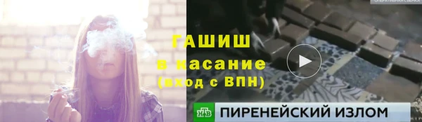 прущие грибы Нягань