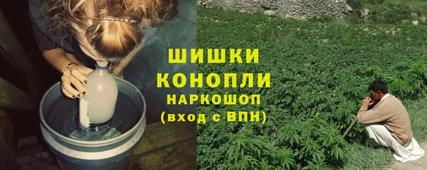 прущие грибы Нягань