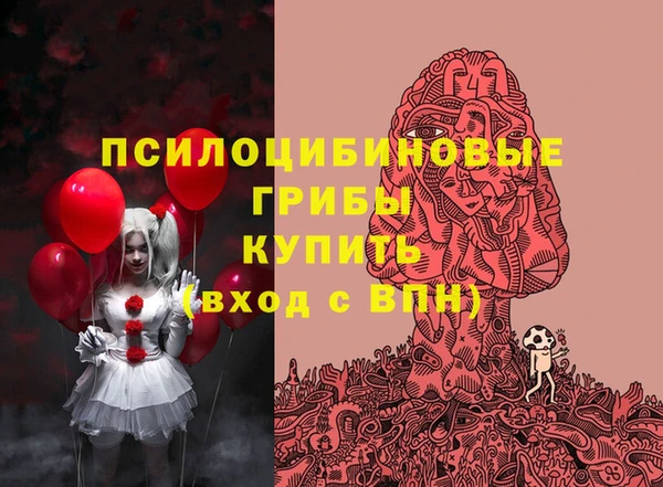 прущие грибы Нягань