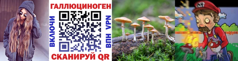 цены Мамоново Псилоцибиновые грибы ЛСД
